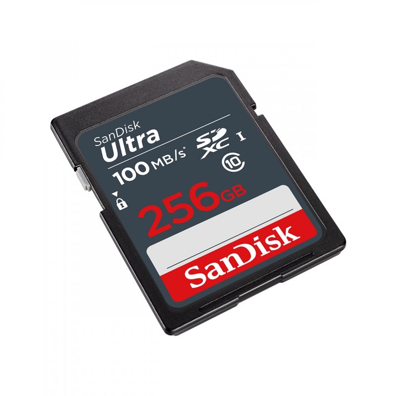 SanDisk Ultra SDXC UHS-I U1 256 Go (SDSDUNR-256G-GN3IN)