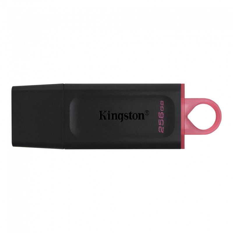 Kingston Technology DataTraveler Exodia lecteur USB flash 256 Go USB Type-A 3.2 Gen 1 (3.1 Gen 1) Noir