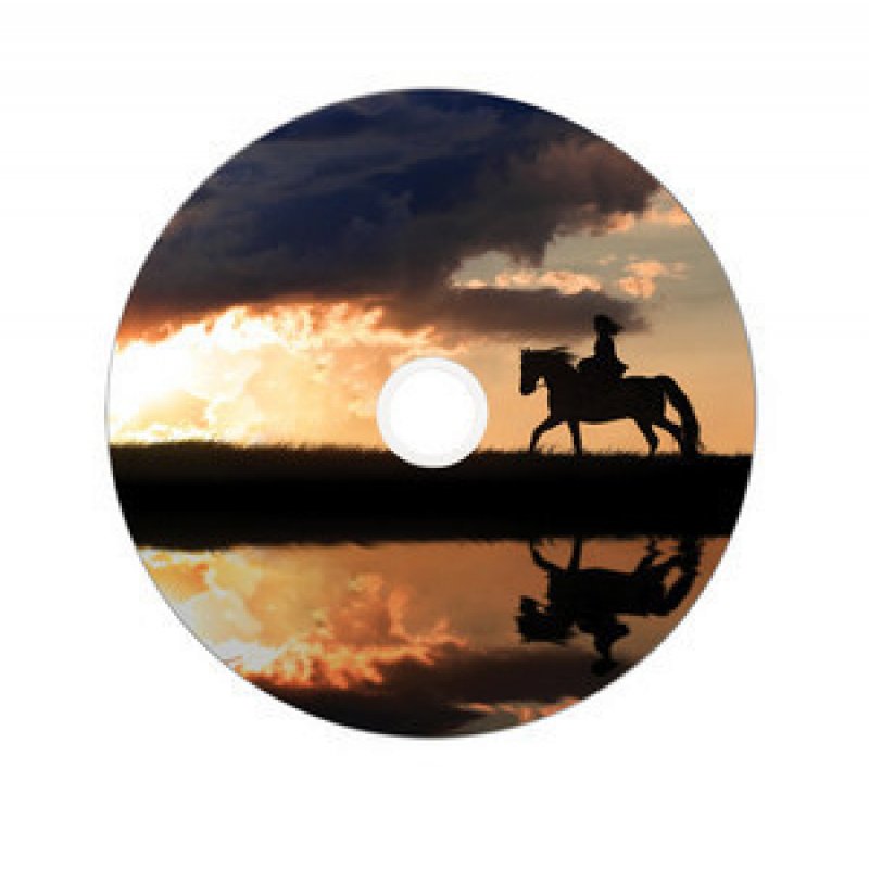 Verbatim 43703 DVD vierge 8,5 Go DVD-R 50 pièce(s)