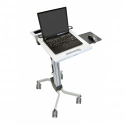 Ergotron Neo-Flex Laptop Cart Grey Notebook Multimedia cart/trolley