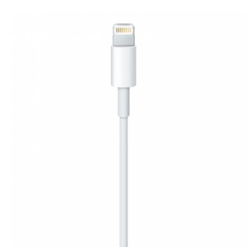 Apple Lightning-Kabel - Lightning / USB - 50 cm