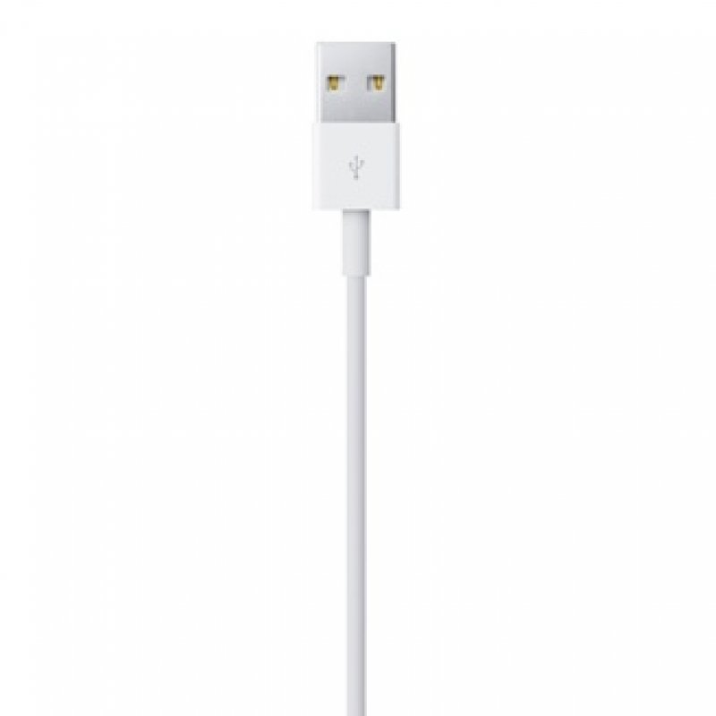 Apple Lightning to USB Cable (0.5 m)