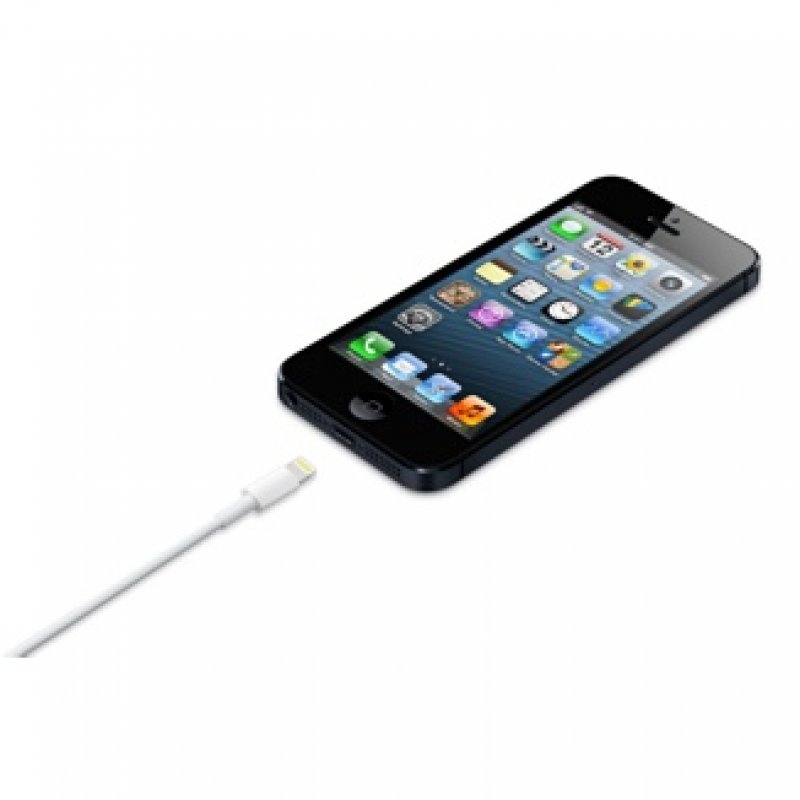 Apple Lightning-Kabel - Lightning / USB - 50 cm