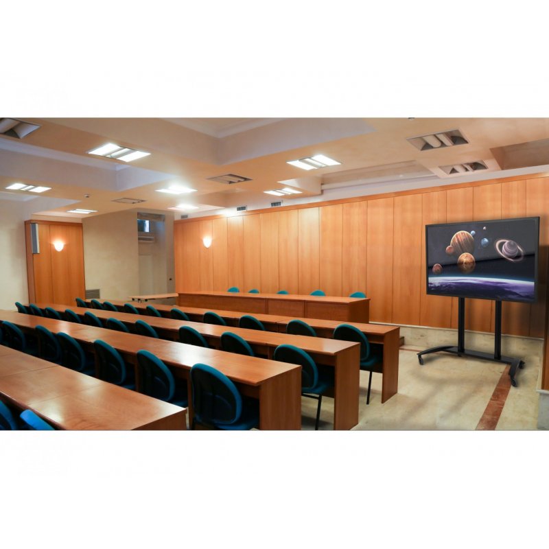 Cart Flat Panel 55"-98" Displays