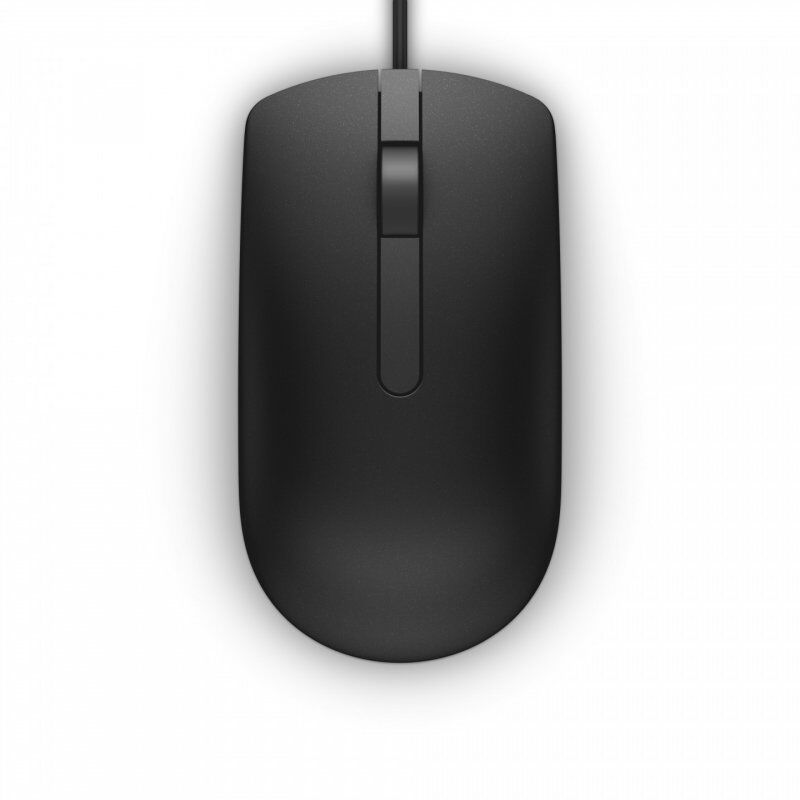 DELL MS116 souris Ambidextre USB Type-A Optique 1000 DPI