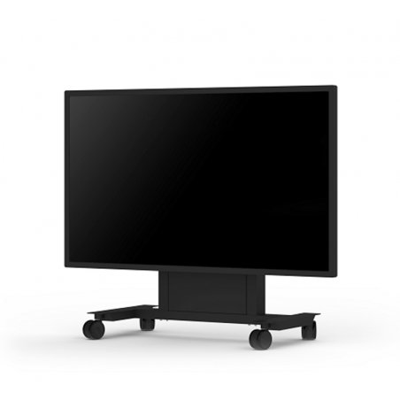 PD02MHA height-adjustable wall mount