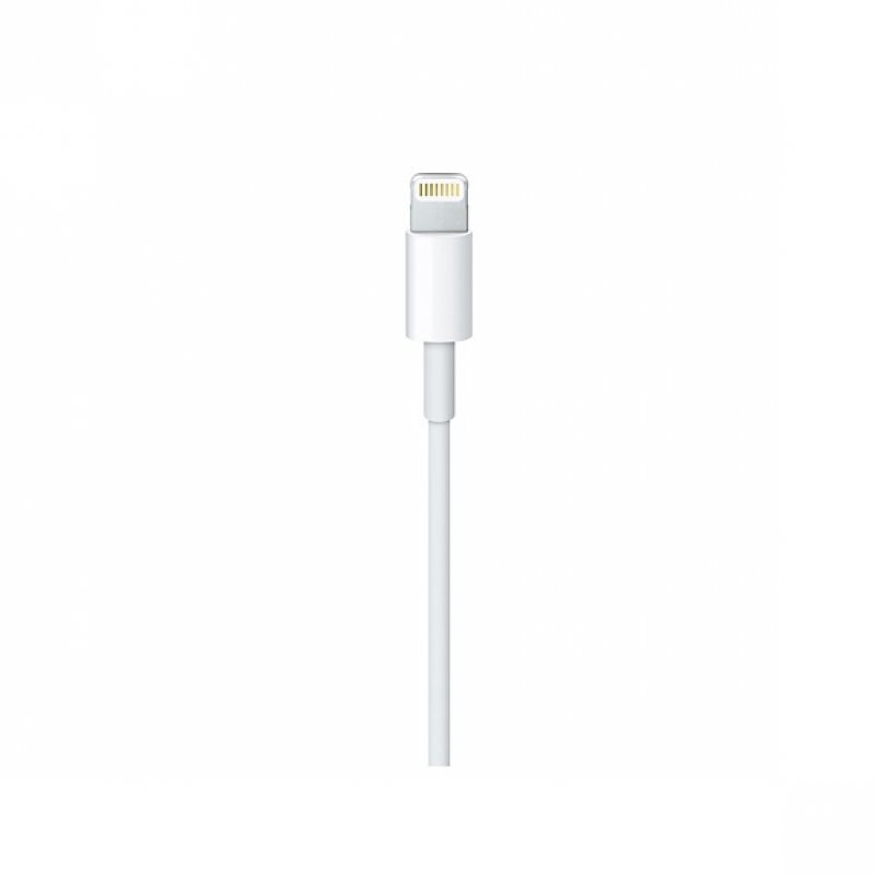 Apple Lightning to USB-C Cable (2 m)