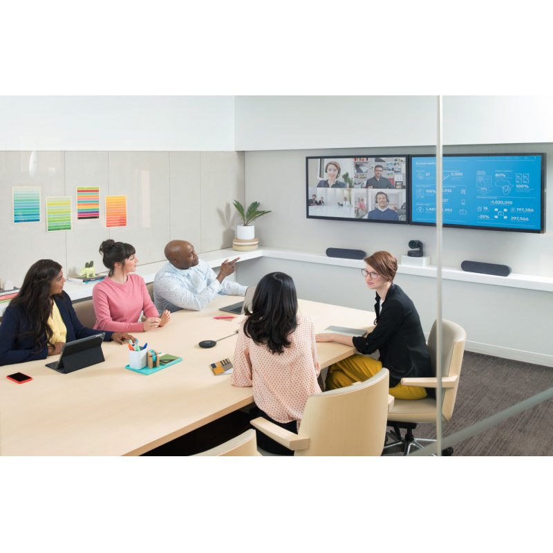 RALLY SPEAKER - GRAPHITE N/A - WW