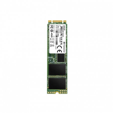 TRANSCEND 256Go SSD Interne M.2 2280