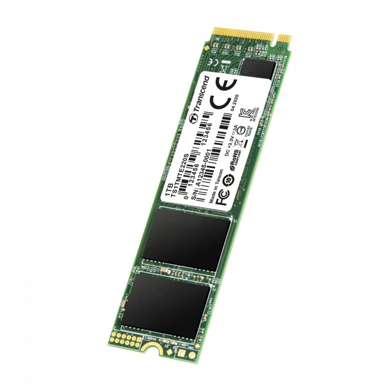 SSD 220S 1 To (TS1TMTE220S)
