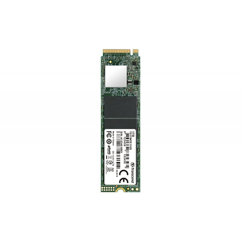 SSD 110S 1 To (TS1TMTE110S)