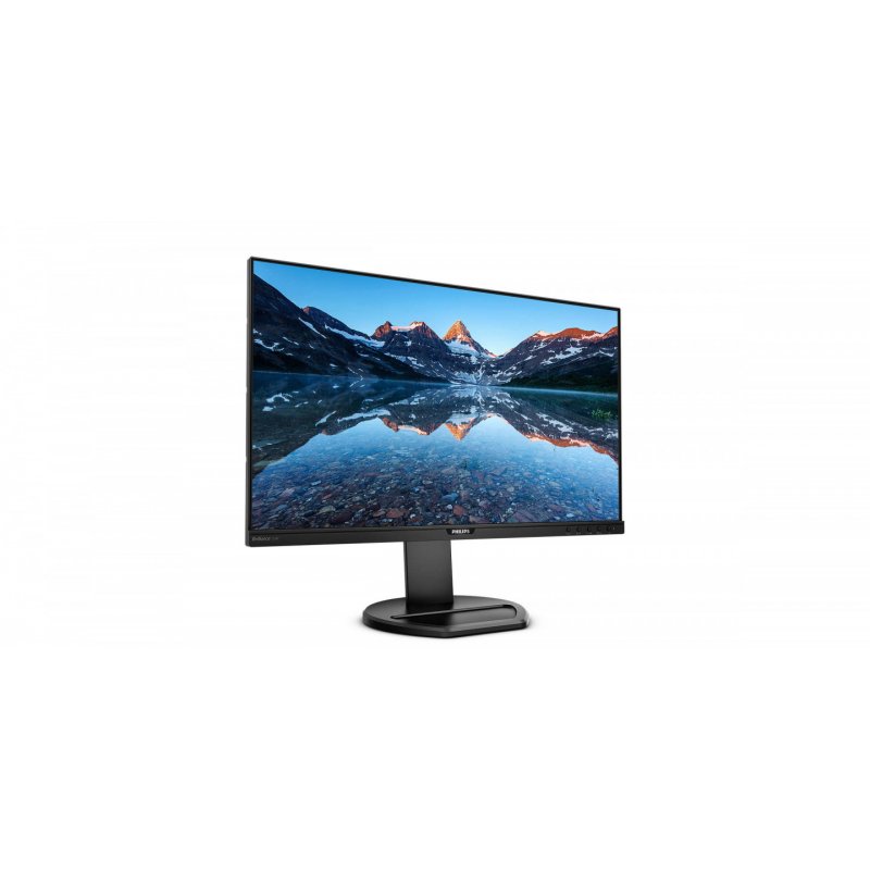 25IN IPS LED MONITOR 1920X1200 DISPLAYPORT