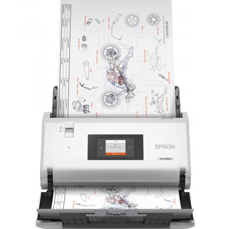 Epson WorkForce DS-30000 ‎ Sheet-fed scanner 600 x 600 DPI A3 White