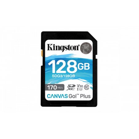 Kingston Technology Canvas Go! Plus 128 Go SD UHS-I Classe 10