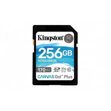 Kingston Technology Canvas Go! Plus 256 GB SD UHS-I Class 10