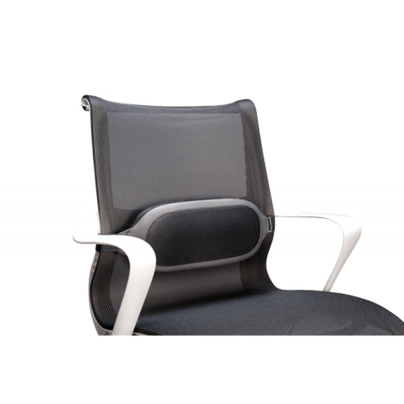 FELLOWES i-spire coussin lombaire