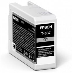 Epson UltraChrome Pro ink cartridge 1 pc(s) Original Grey