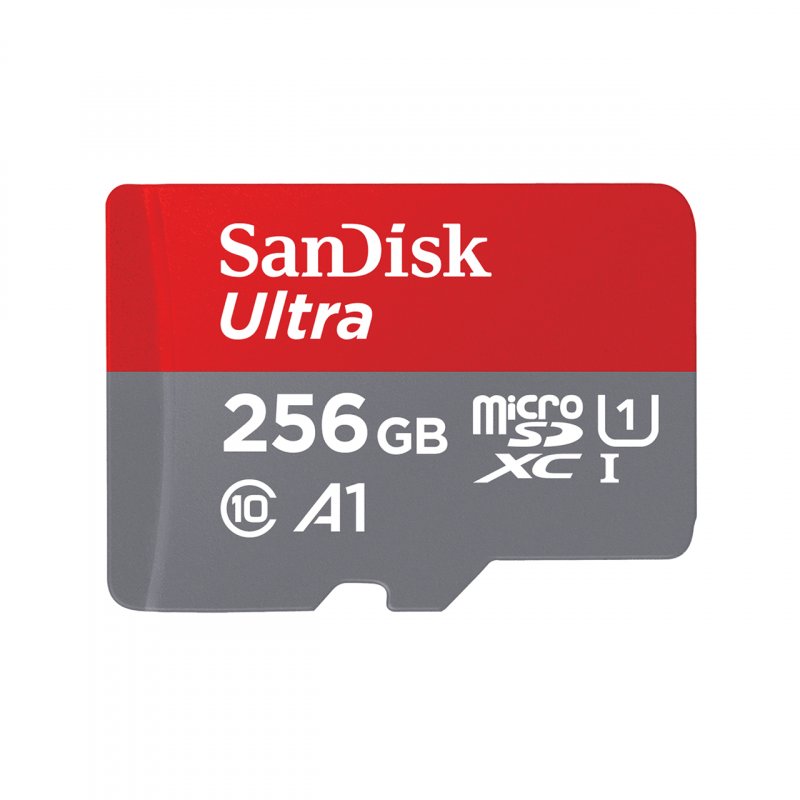 SanDisk Ultra microSDXC 256 Go + adaptateur SD