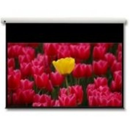 Optoma Panoview 16:9 106" projection screen 2.69 m (106")