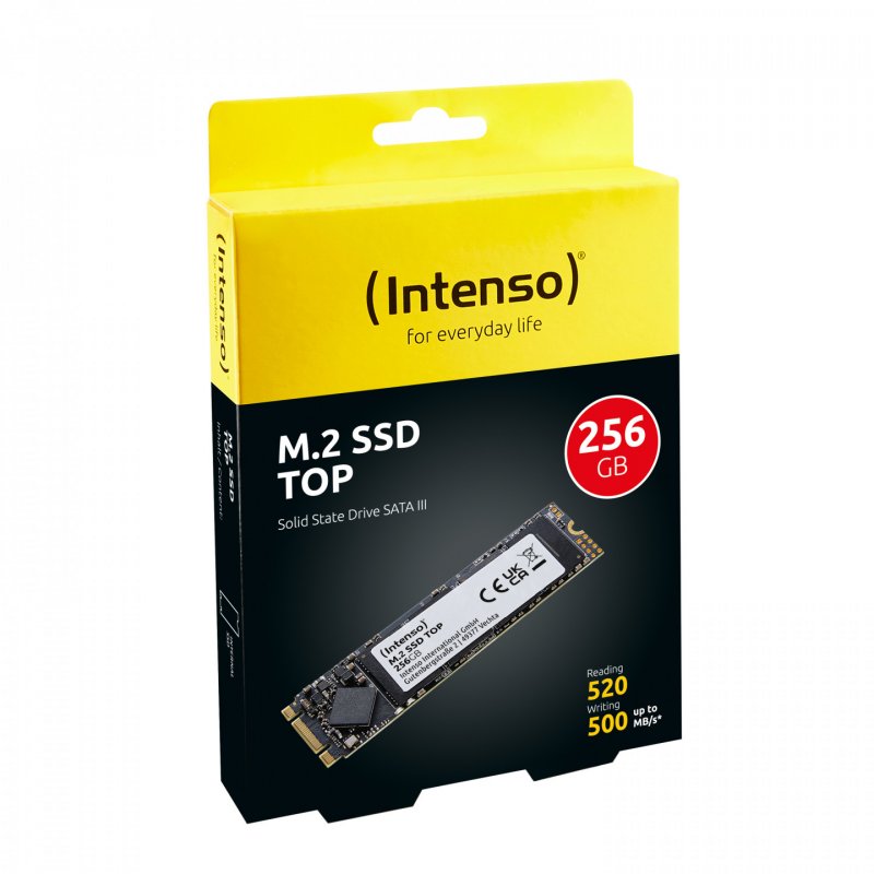 SSD 256GB Intenso compatible Top Performance M.2
