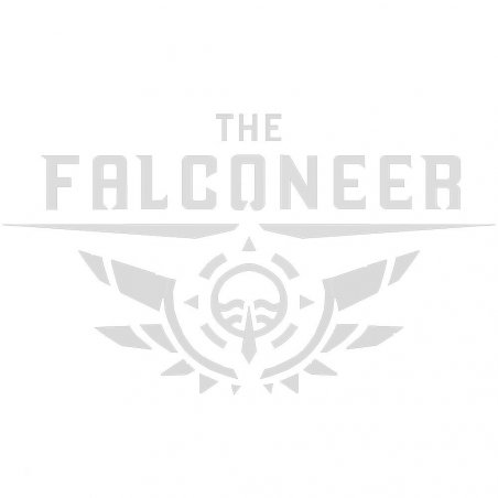 Wired Productions The Falconeer - Day One Premier jour Xbox One
