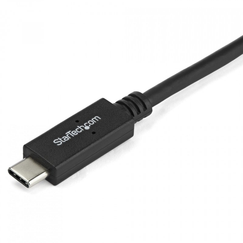 CABLE ADAPTATEUR USB TYPE-C VERS DVI-D DE 2 M - 2560X1600