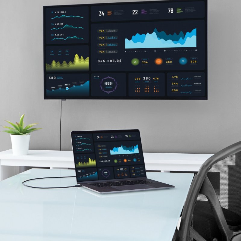 StarTech.com Câble adaptateur USB-C vers VGA de 2 m - 1920 x 1200