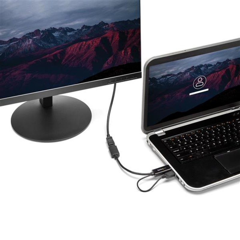 CONVERTISSEUR HDMI VERS DP ALIMENTE PAR USB - M/F - 4K