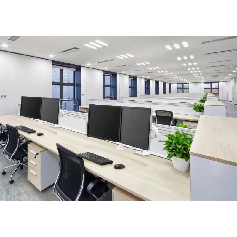 Ergotron LX Series Desk Dual Direct Arm 63.5 cm (25") White