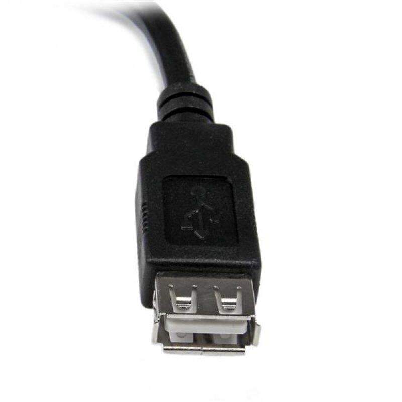 StarTech.com Câble d'extension USB 2.0 de 15cm - Rallonge USB A vers A - M/F