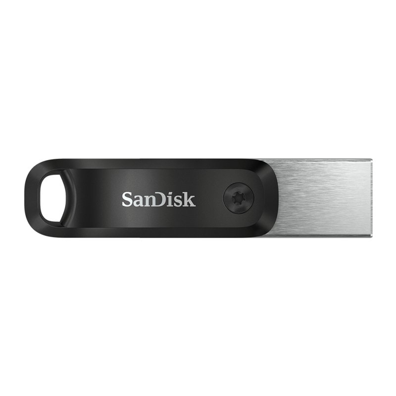 SanDisk SDIX60N-256G-GN6NE lecteur USB flash 256 Go 3.2 Gen 1 (3.1 Gen 1) Gris, Argent