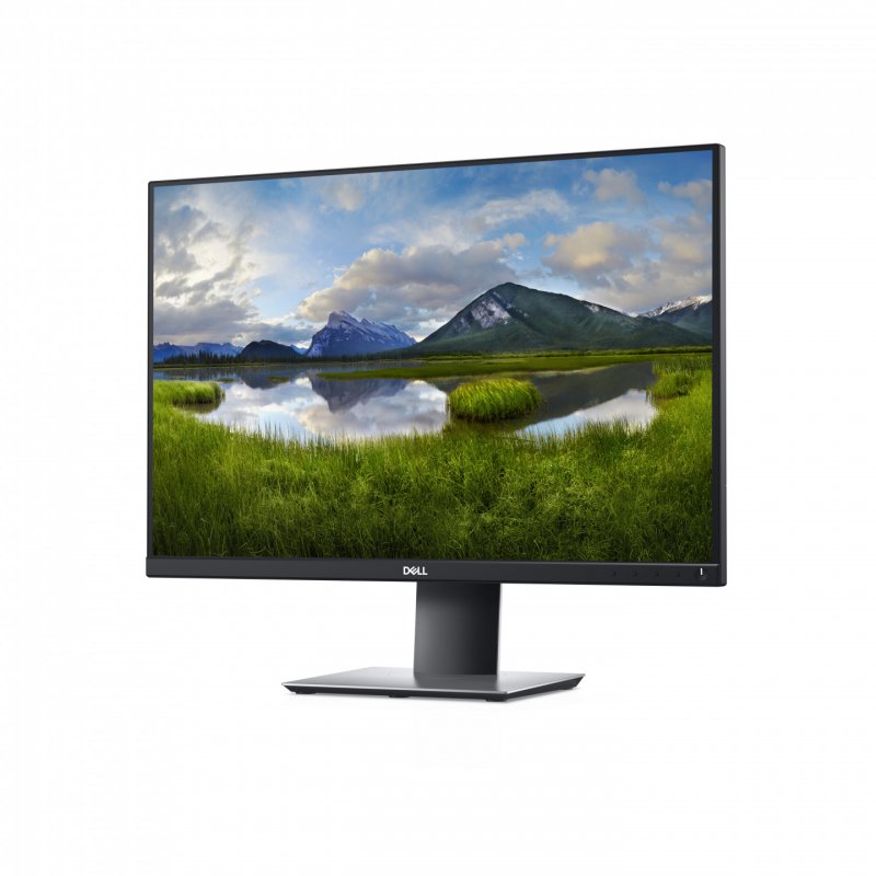 Dell LED - Display P2421 - 61.13 cm (24.1") - 1920 x 1200 WUXGA