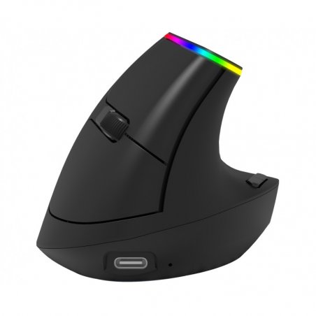 Ergonomic mouse ART0425