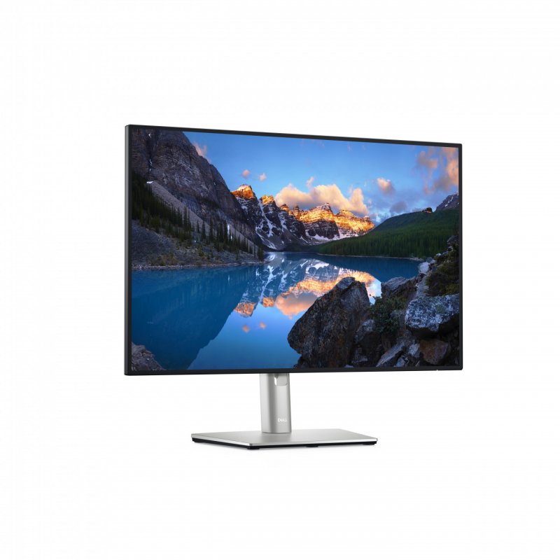24.1" LED - U2421E