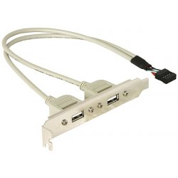 DeLOCK Slotbracket 1x internal USB 5pin  2x USB2.0 external câble USB 0,3 m USB A Blanc