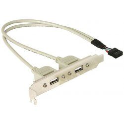 DeLOCK Slotbracket 1x internal USB 5pin  2x USB2.0 external USB cable 0.3 m USB A White