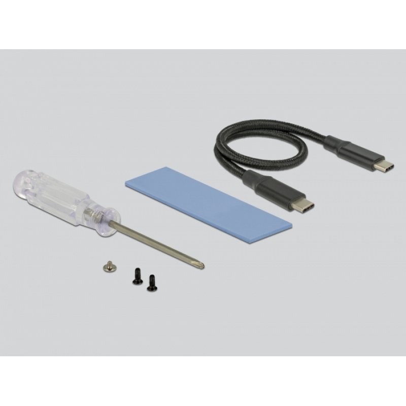 DeLOCK 42600 carte et adaptateur d'interfaces USB 3.2 Gen 1 (3.1 Gen 1)