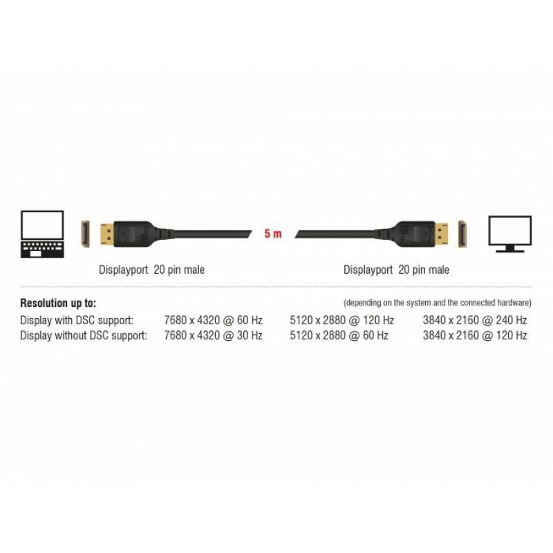 DeLOCK 85663 DisplayPort cable 5 m Black