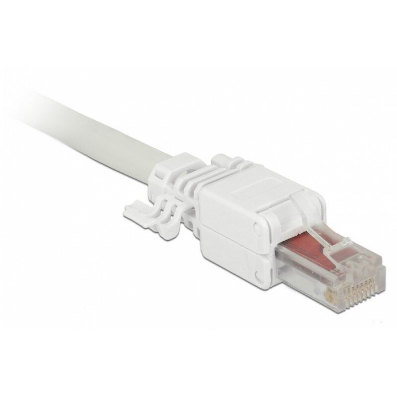 DeLOCK Netzwerkanschluss