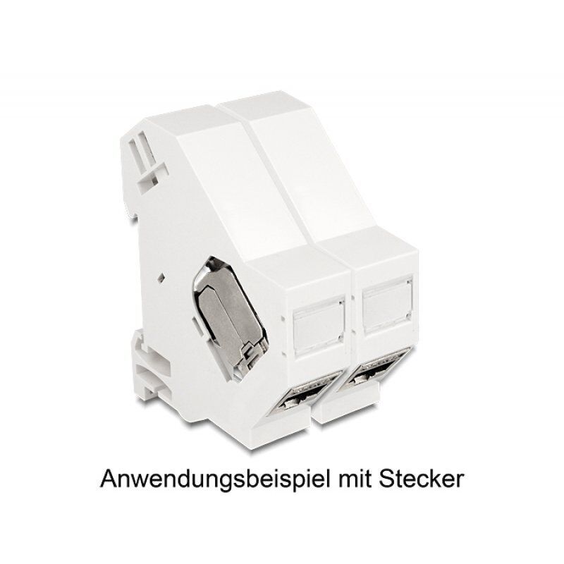 DeLOCK Keystone Mounting for DIN rail shielded - DIN-Ausgang für Schienenmontage