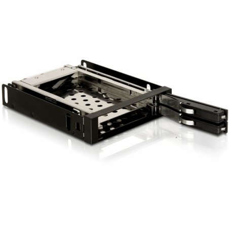 DeLOCK 3.5" Mobile Rack