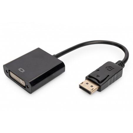Digitus Câble d'adaptateur DisplayPort - DVI