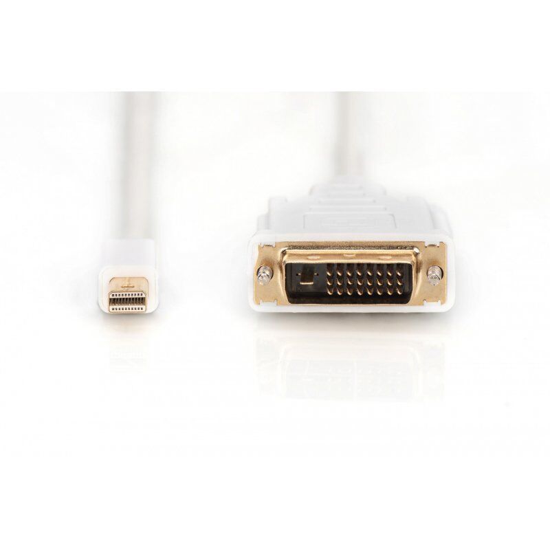 Digitus Câble d'adaptateur DisplayPort