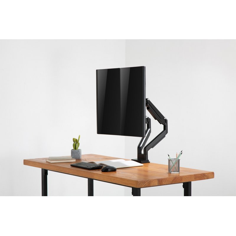 DIGITUS DA-90395 - Aufstellung (einstellbarer Doppelarm)