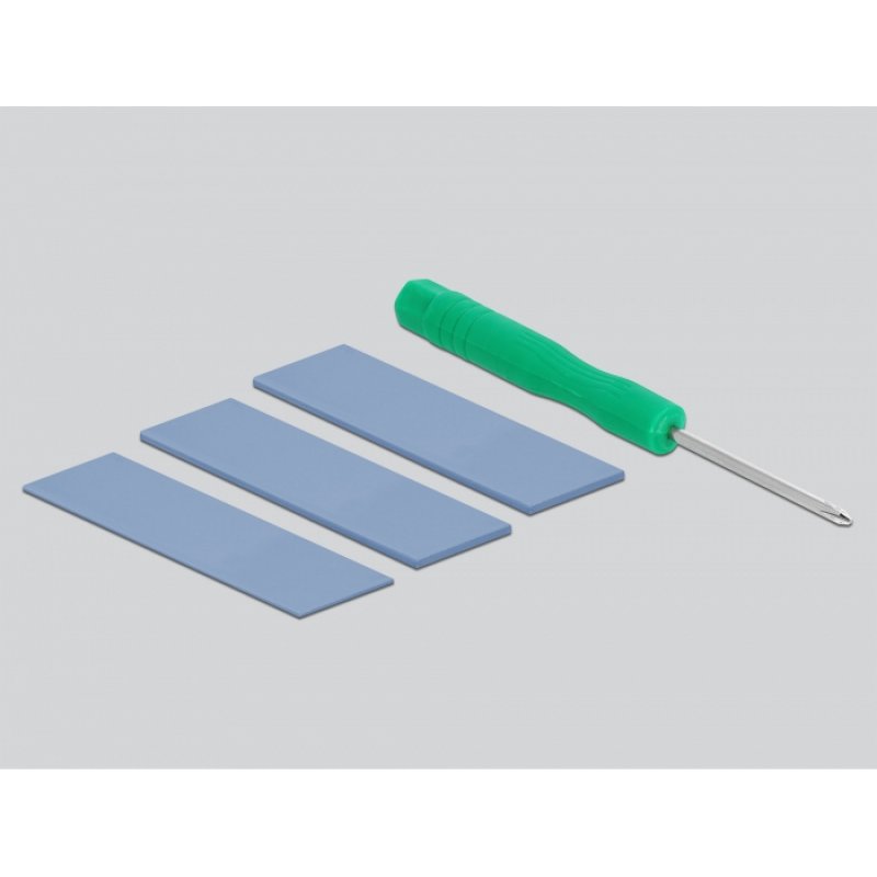 DeLOCK - Speichergehäuse - M.2 NVMe Card - USB-C, USB 3.2 (Gen 2)