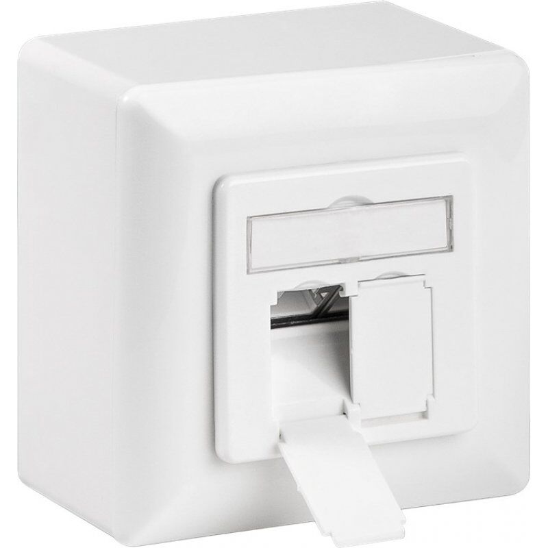 Goobay CAT 6 Universal Wall Plate Incl. On-Wall Mounting Frame, White
