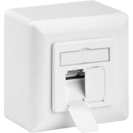 Goobay CAT 6 Universal Wall Plate Incl. On-Wall Mounting Frame, White