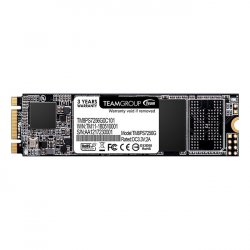 Team Group compatible MS30 - Solid-State-Disk - 256 GB - SATA 6Gb/s