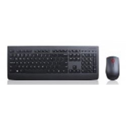LENOVO PROFESSIONAL WIRELESS KEYBOARD AND MOUSE COMBO         IT