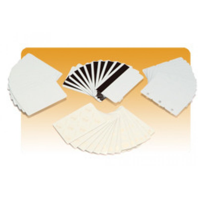 CARTE PVC BLANCHE 0.76 3-UP BREAKAWAY KEY TAGS LOT 500